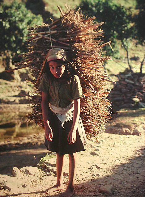 Hard Life - Annapurna